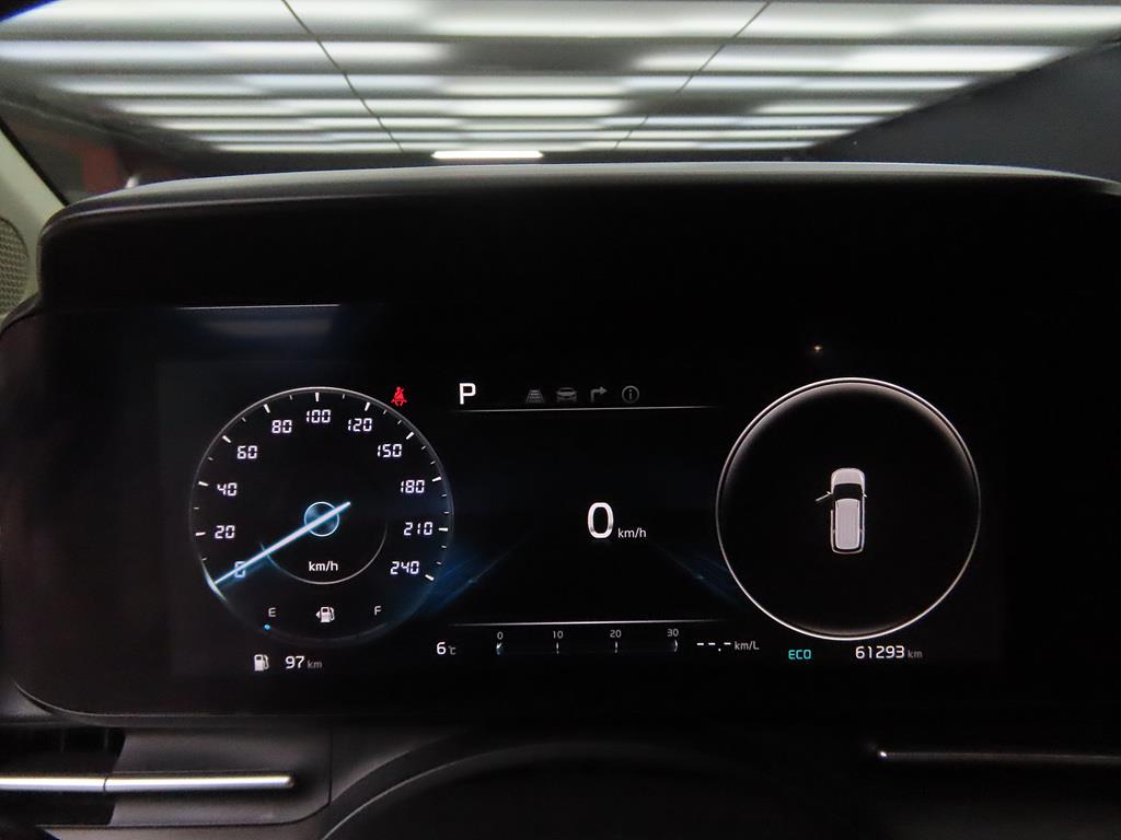 KIA Carnival - Vista 9