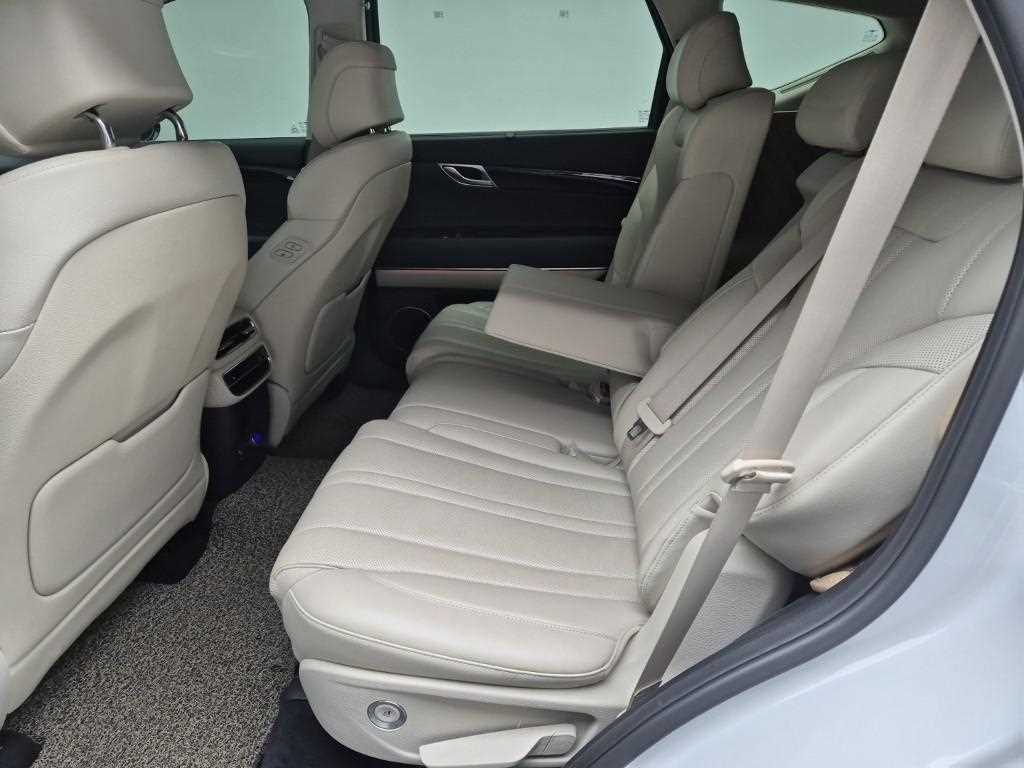 Genesis GV80 - Vista 12