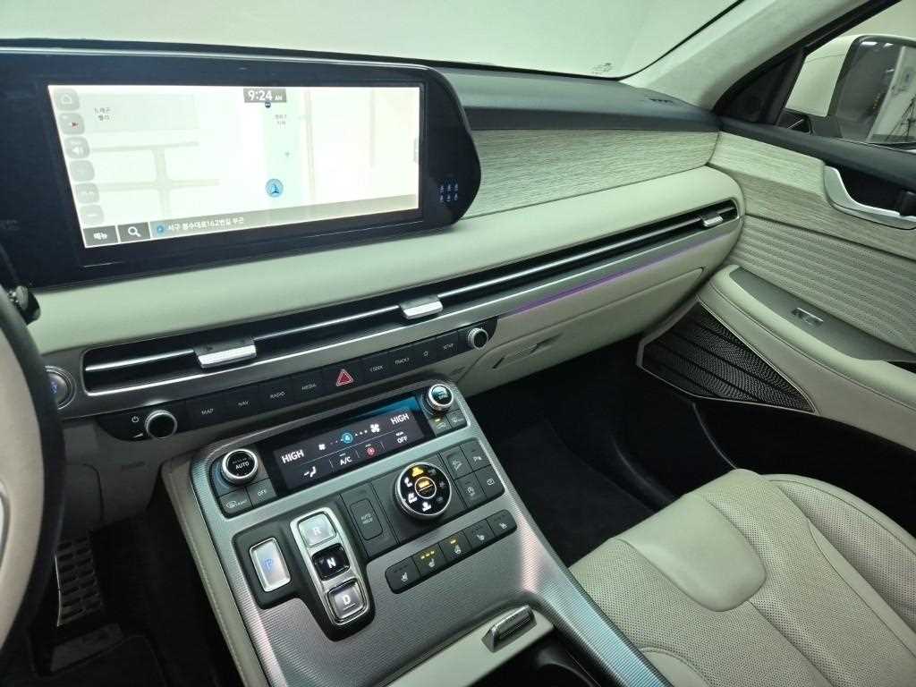 HYUNDAI Palisade - Vista 10