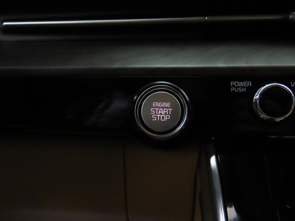 KIA Carnival - Vista 10