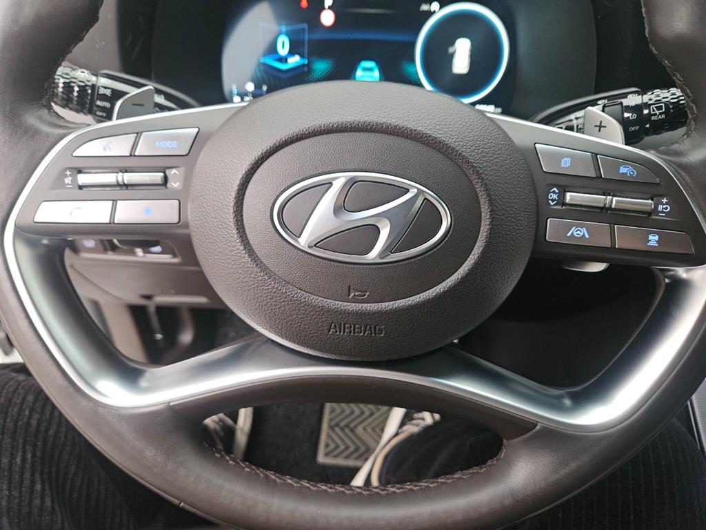 HYUNDAI Palisade - Vista 12