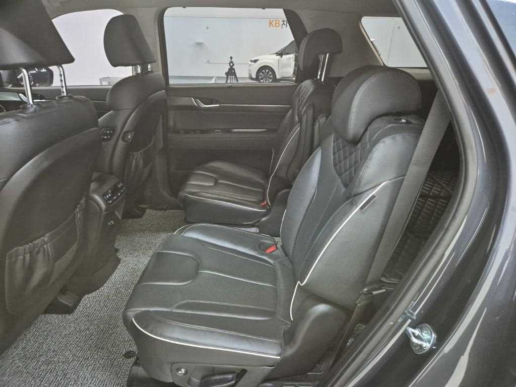 HYUNDAI Palisade - Vista 12