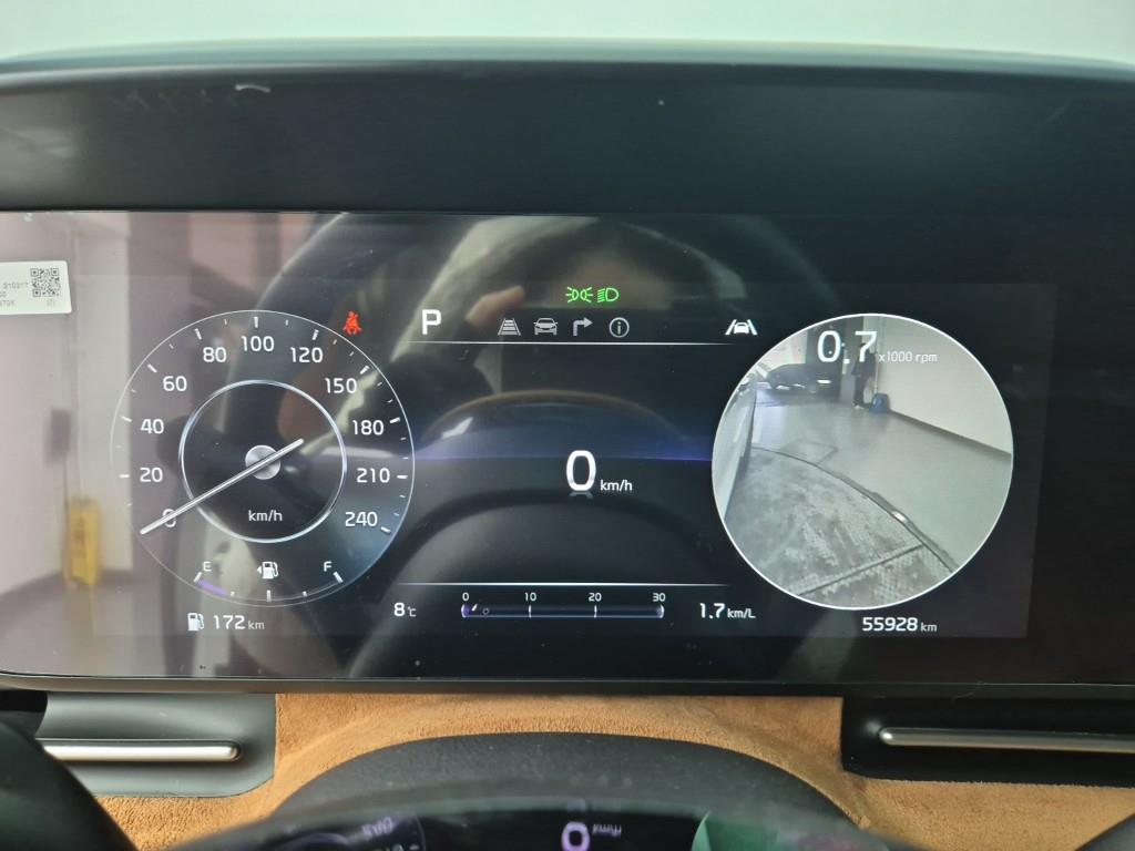 KIA Carnival - Vista 7