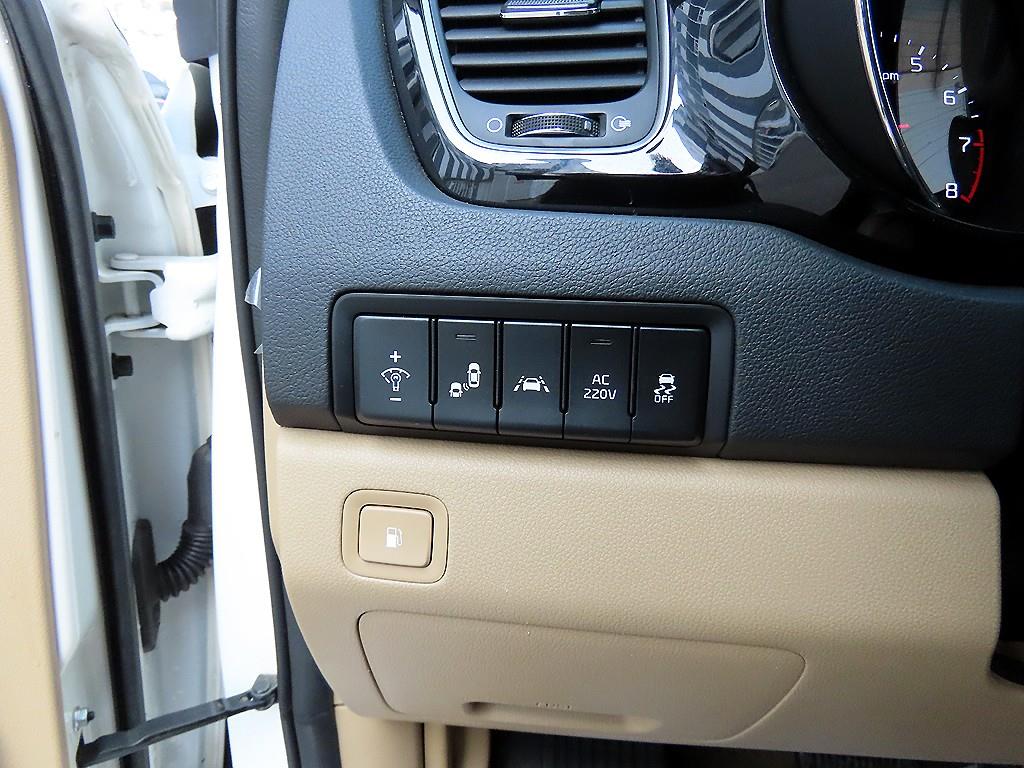 KIA Carnival - Vista 12