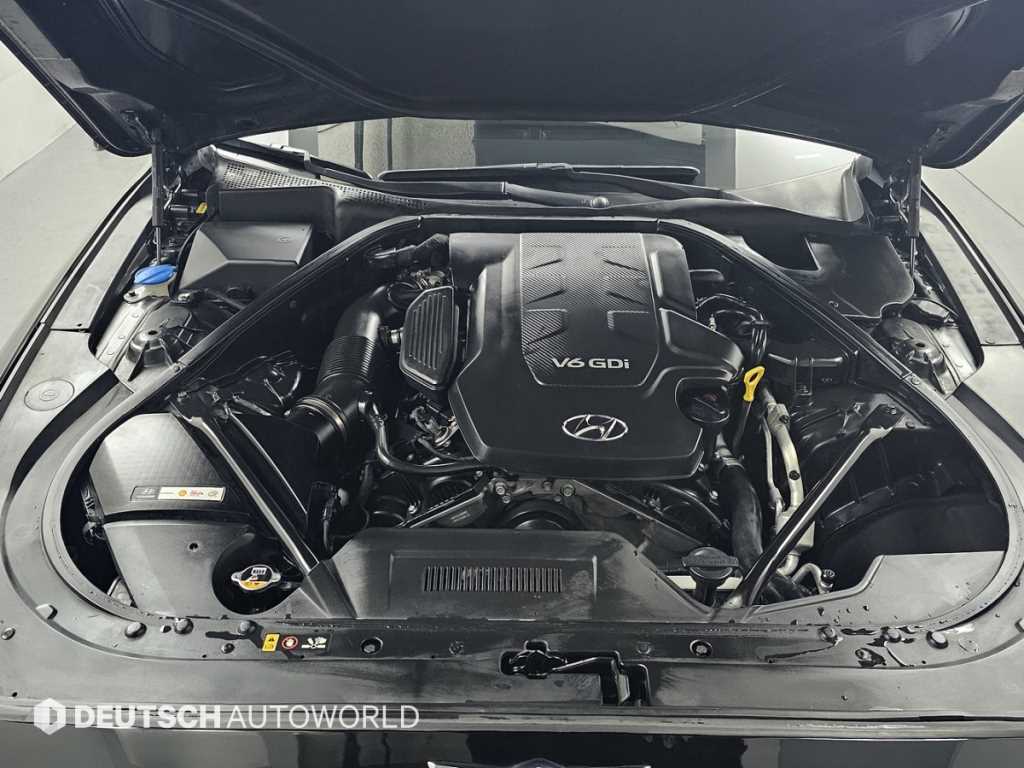 HYUNDAI Genesis - Vista 6