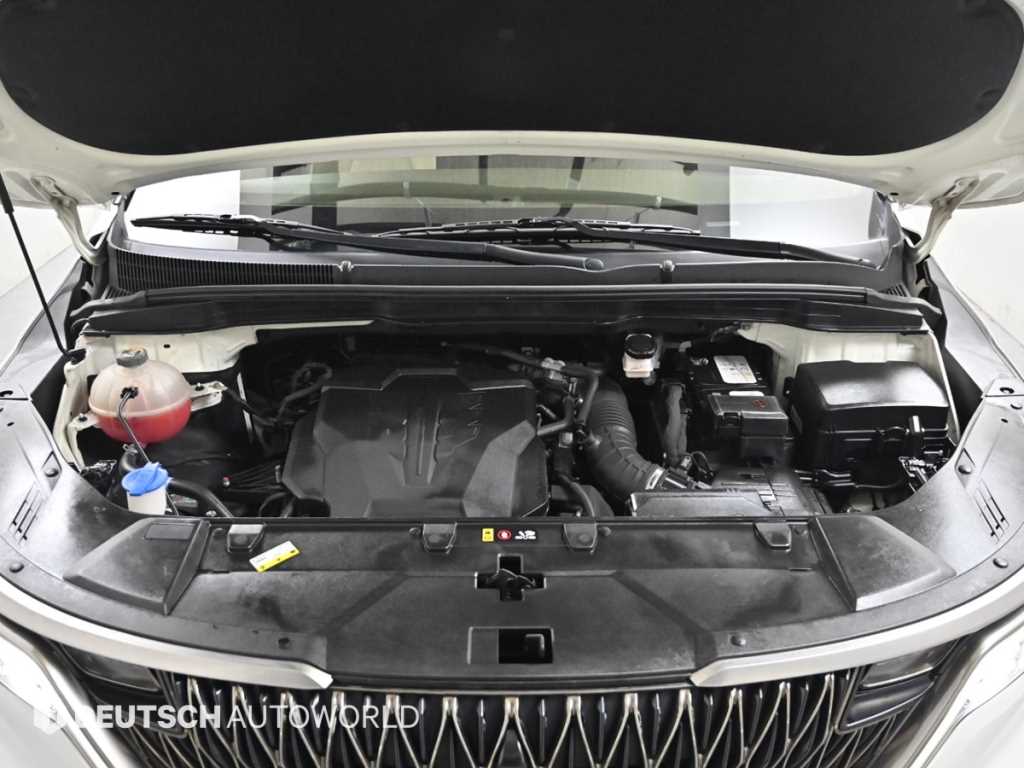 KIA Carnival - Vista 6