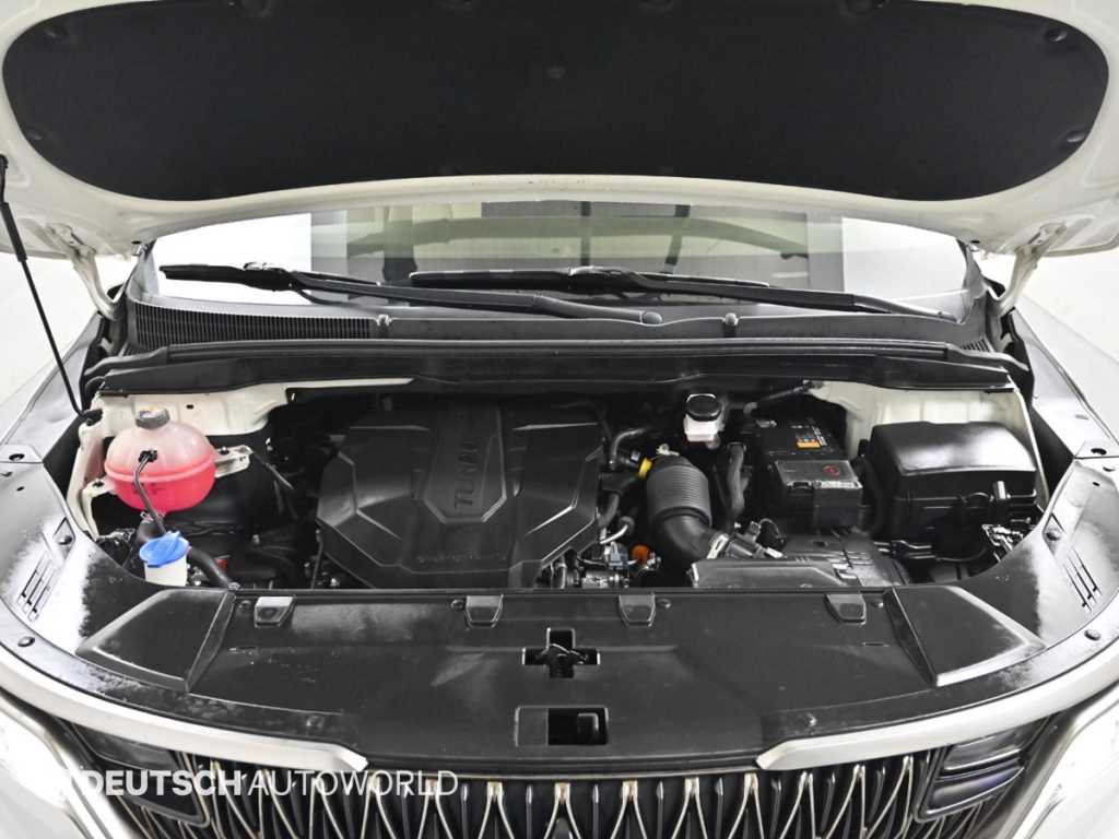 KIA Carnival - Vista 6