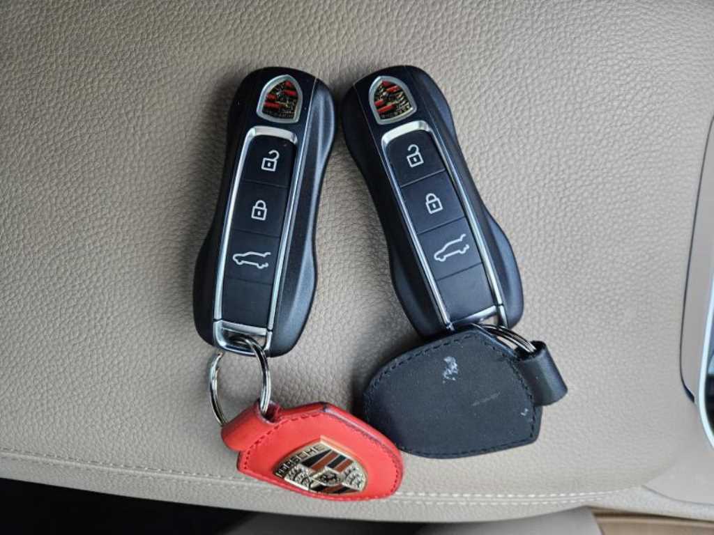 Porsche Cayenne - Vista 11