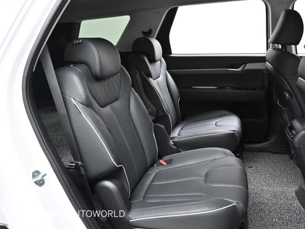 HYUNDAI Palisade - Vista 12