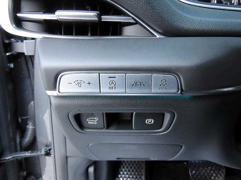 Genesis GV80 - Vista 11