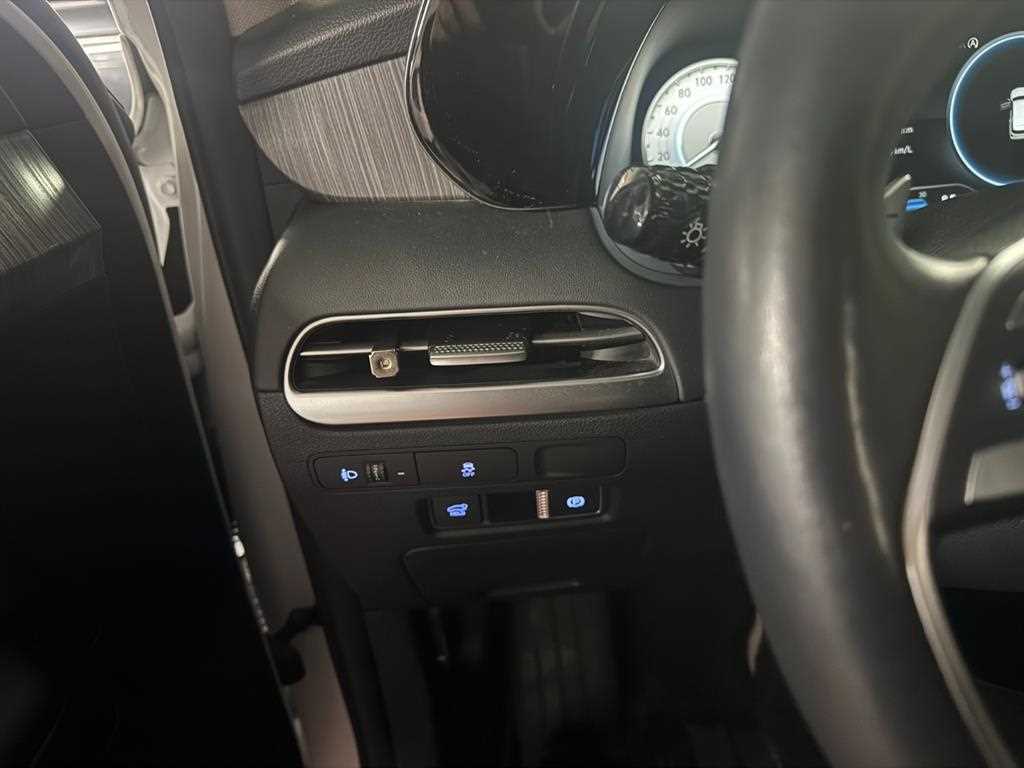 HYUNDAI Palisade - Vista 10