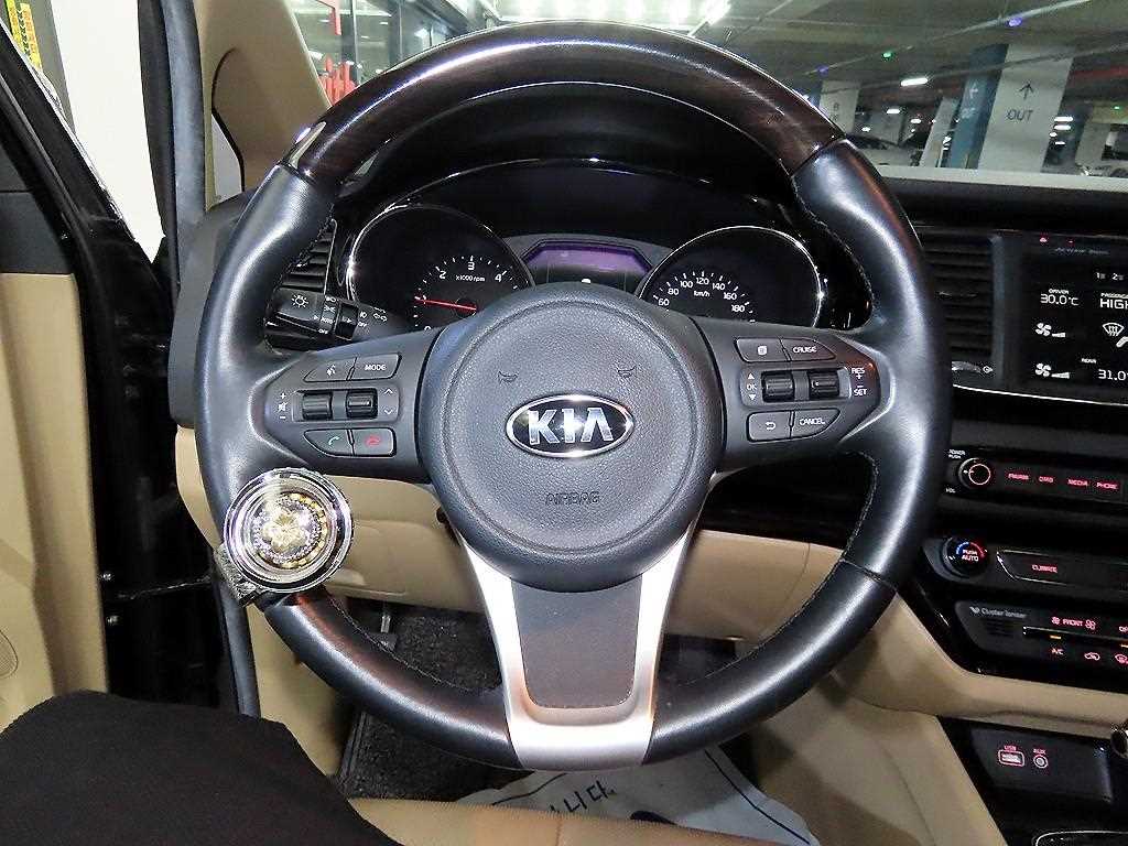KIA Carnival - Vista 8