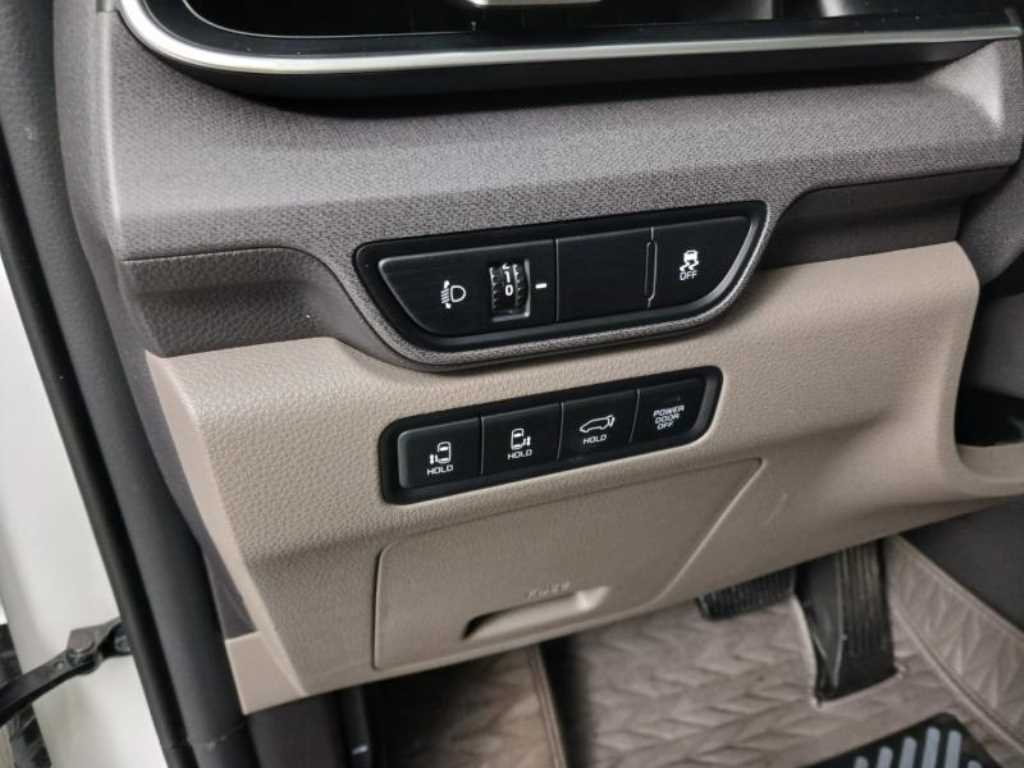 KIA Carnival - Vista 12