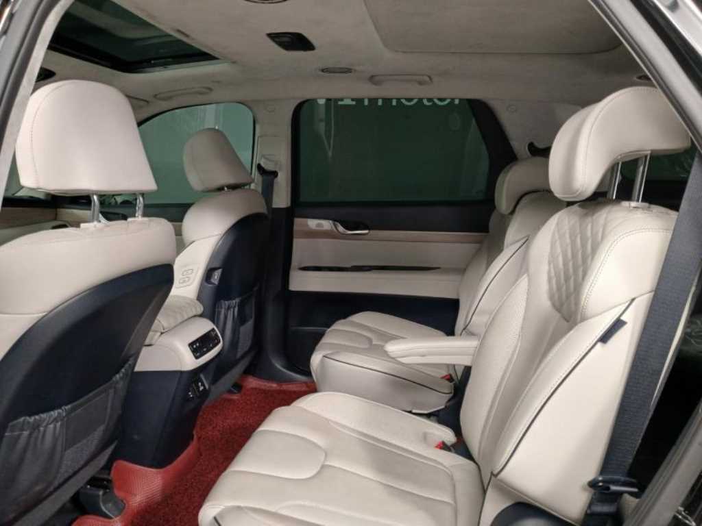 HYUNDAI Palisade - Vista 8