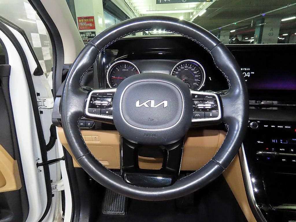 KIA Carnival - Vista 9