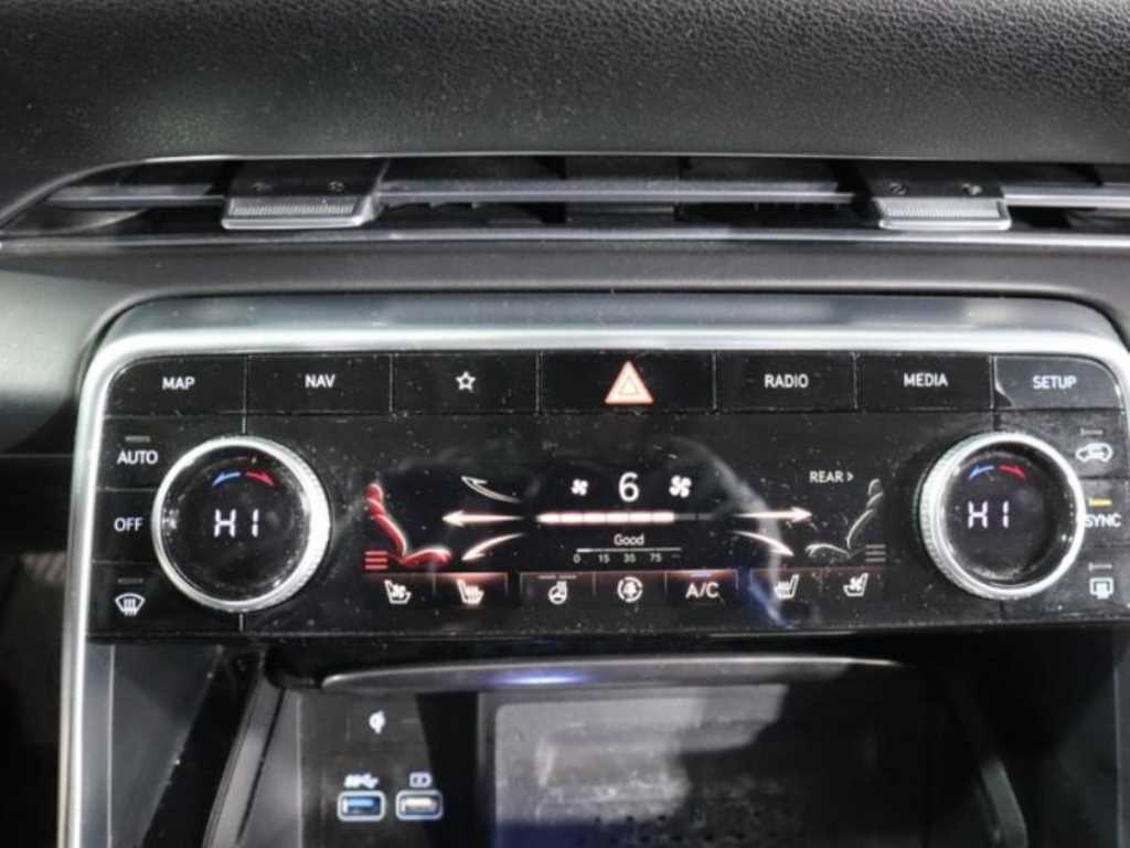 Genesis GV80 - Vista 12