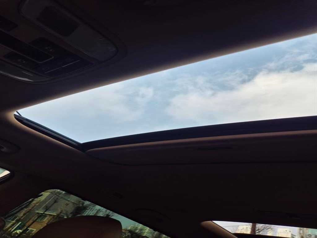 KIA Carnival - Vista 12