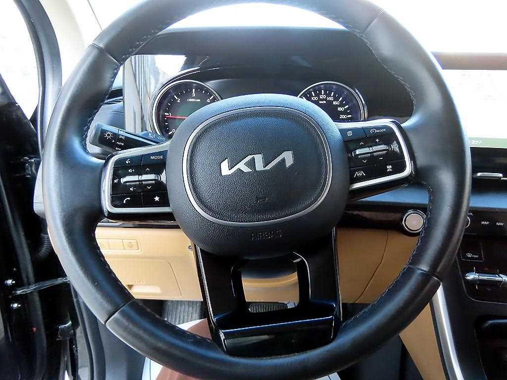 KIA Carnival - Vista 9