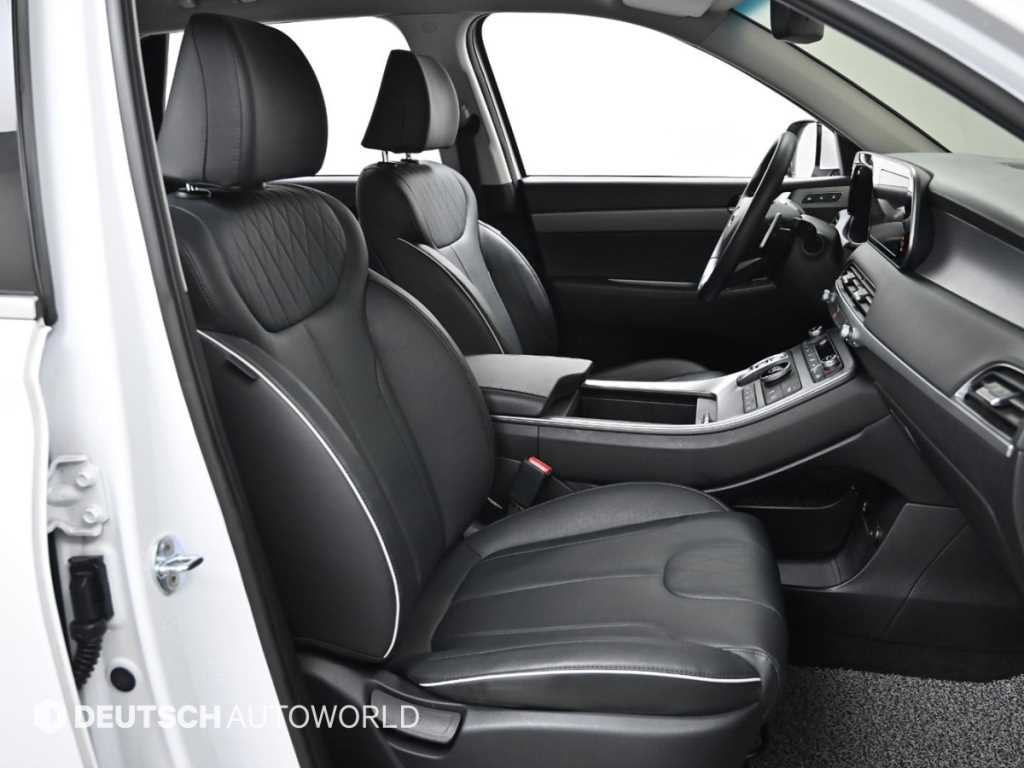 HYUNDAI Palisade - Vista 10