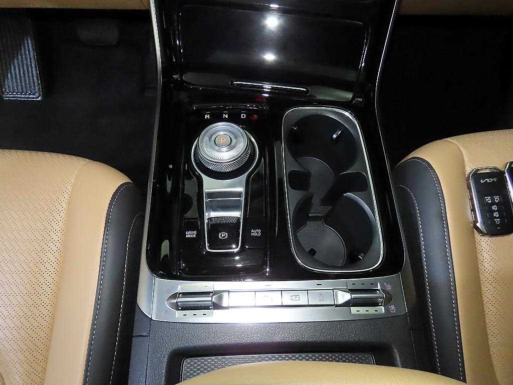 KIA Carnival - Vista 12