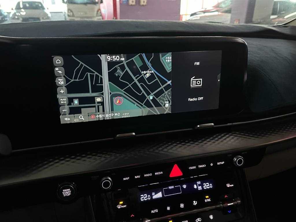 KIA Carnival - Vista 8