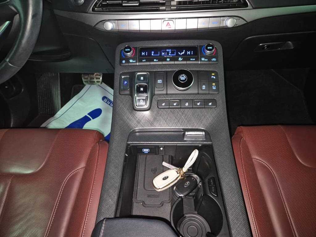 HYUNDAI Palisade - Vista 9