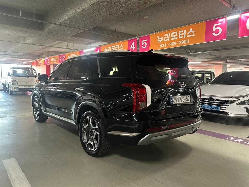 HYUNDAI Palisade - Vista 6