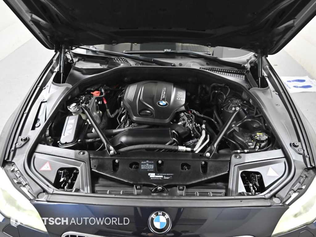 BMW 5 Series - Vista 6