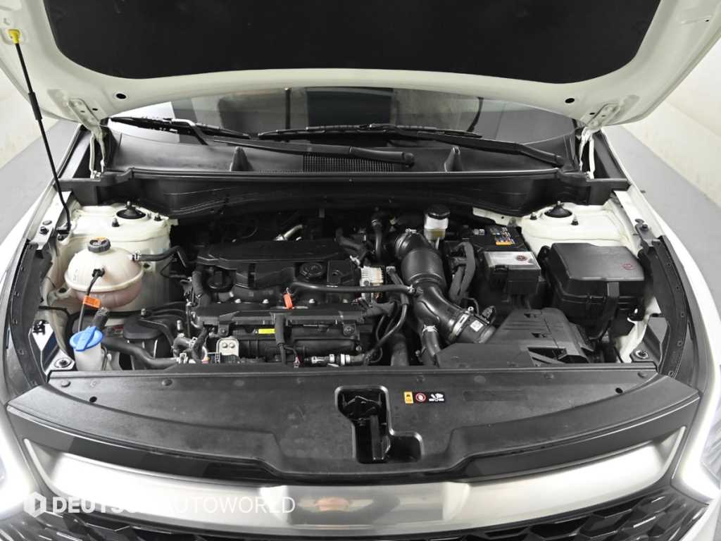 KIA Sportage - Vista 6