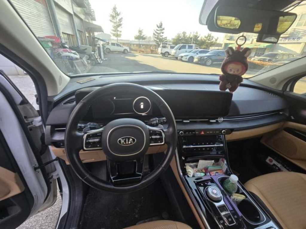 KIA Carnival - Vista 4