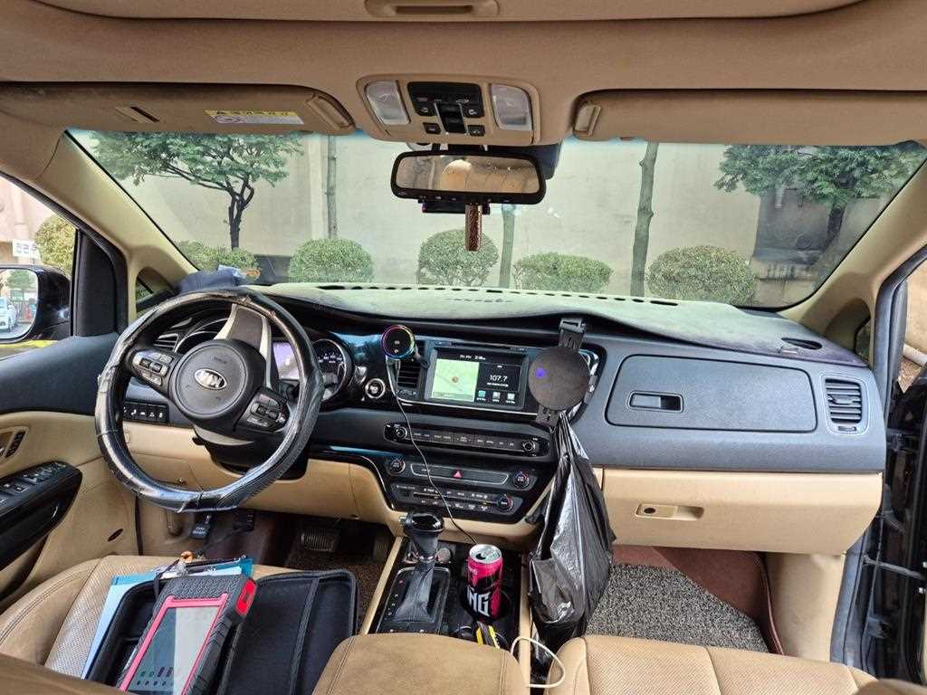 KIA Carnival - Vista 7