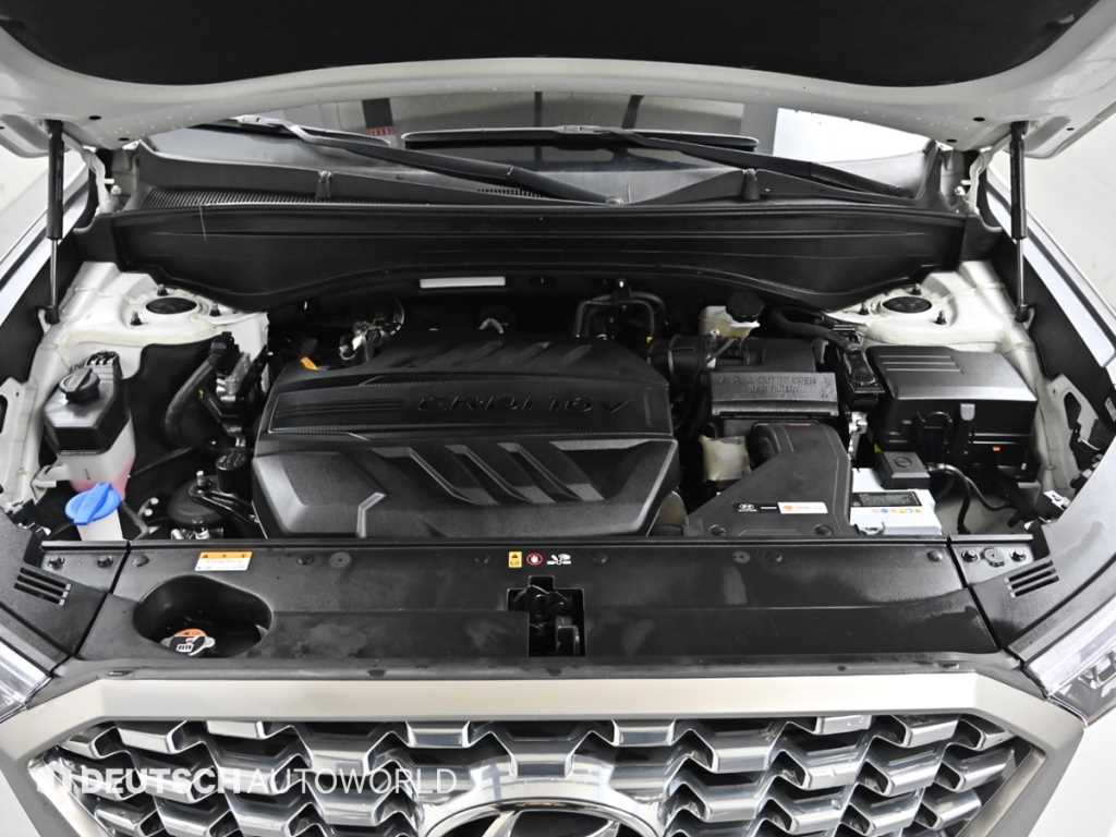 HYUNDAI Palisade - Vista 6