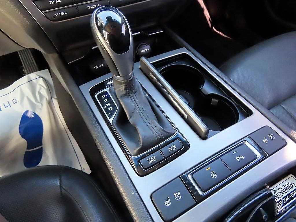 HYUNDAI Genesis - Vista 10