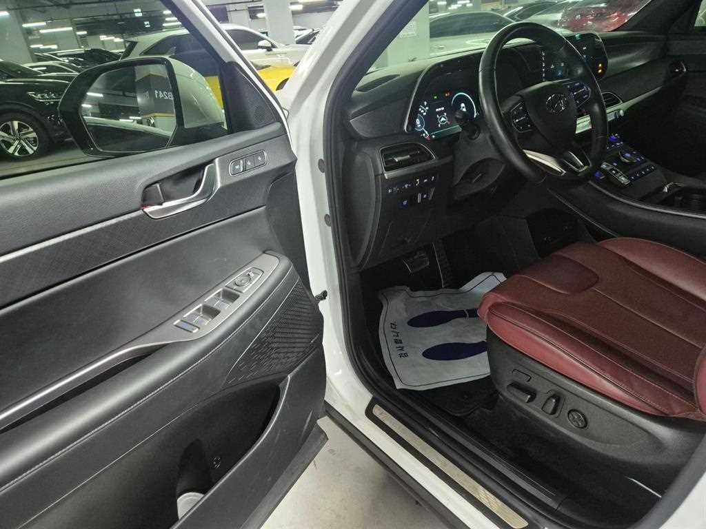 HYUNDAI Palisade - Vista 11