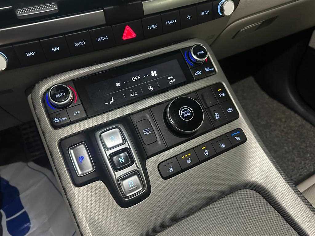 HYUNDAI Palisade - Vista 12