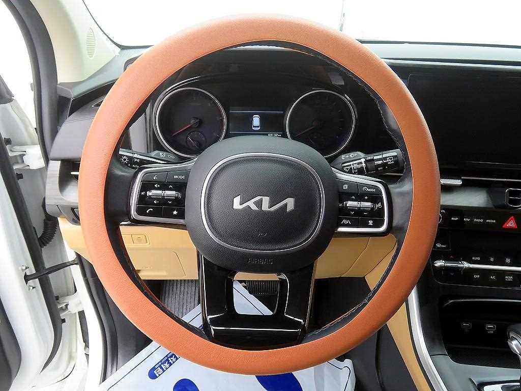 KIA Carnival - Vista 12