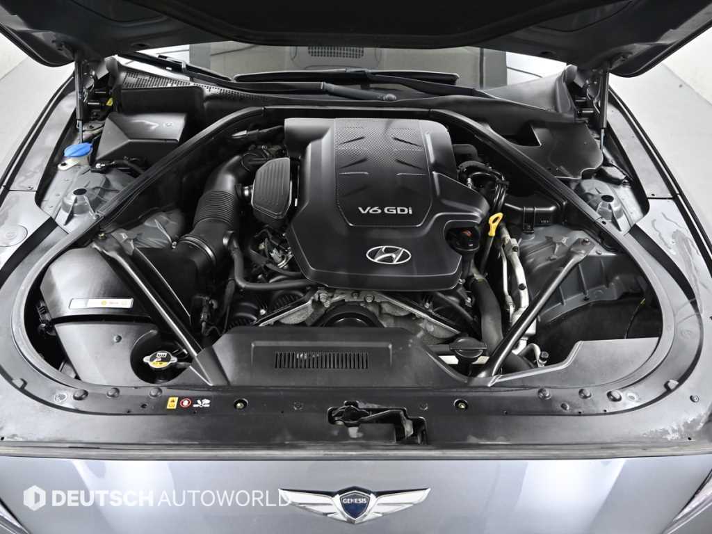 HYUNDAI Genesis - Vista 6