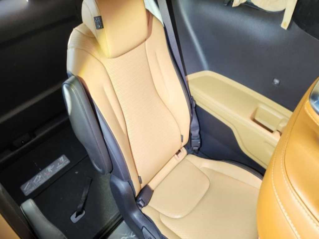 KIA Carnival - Vista 12