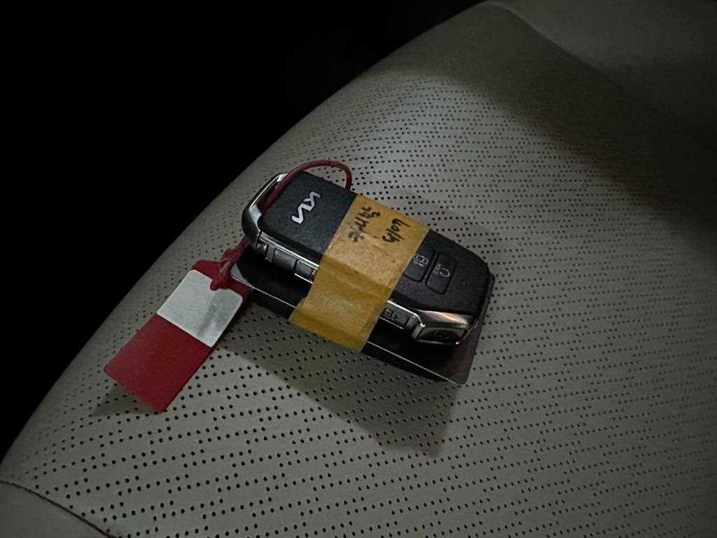 KIA Carnival - Vista 12