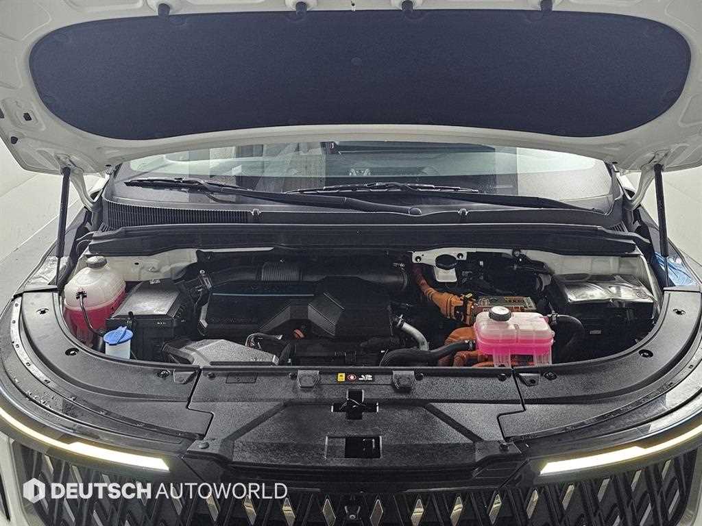 KIA Carnival - Vista 6