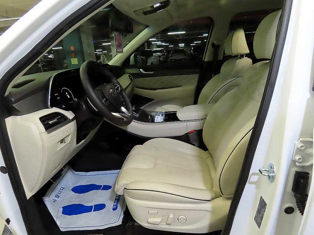 HYUNDAI Palisade - Vista 6