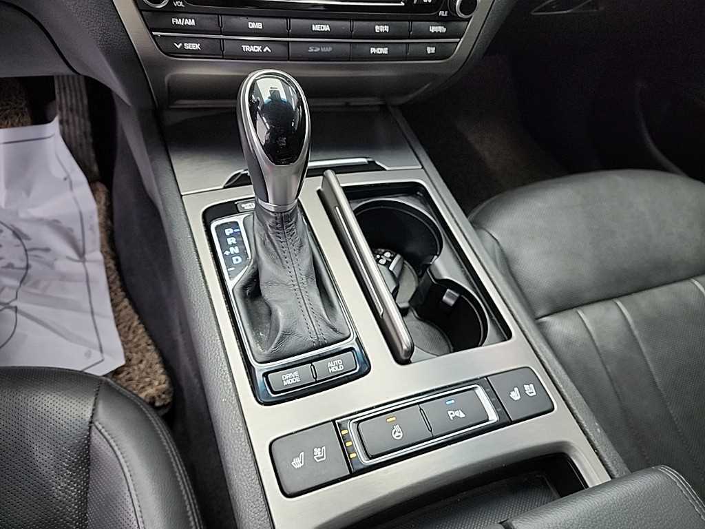 HYUNDAI Genesis - Vista 8