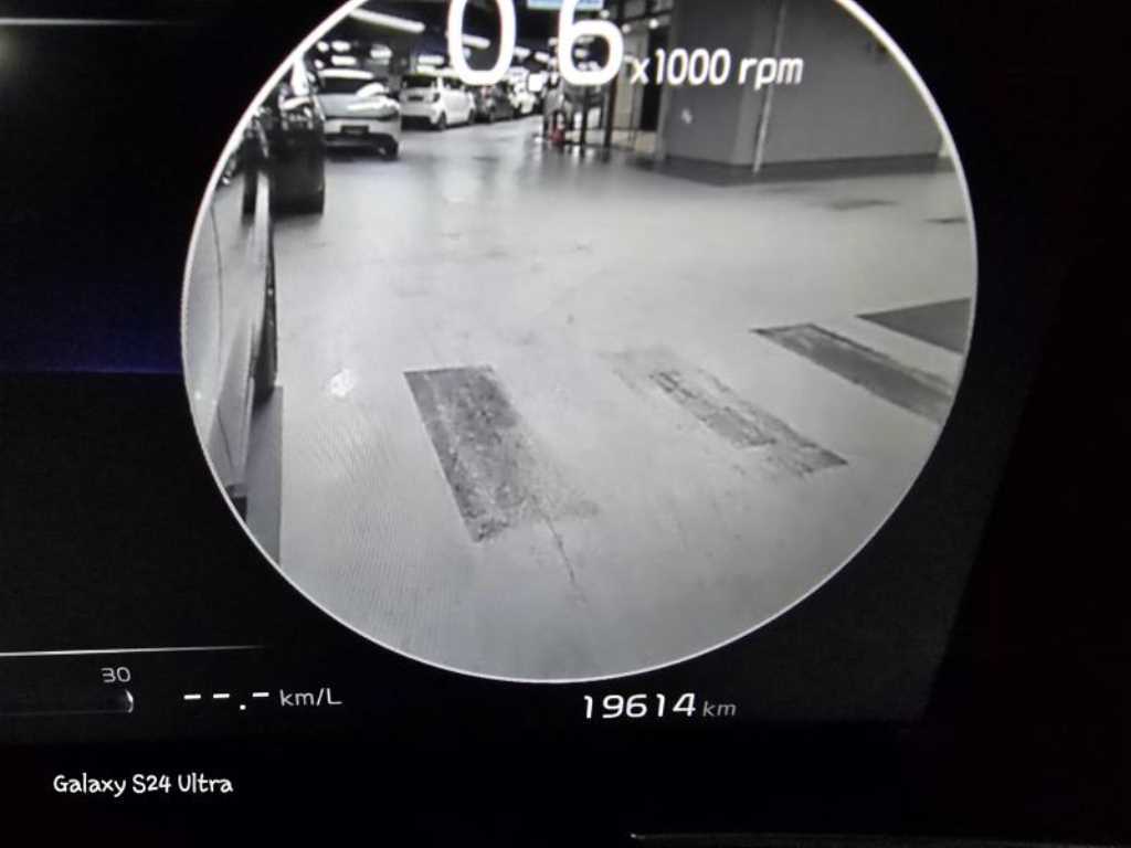 KIA Carnival - Vista 4