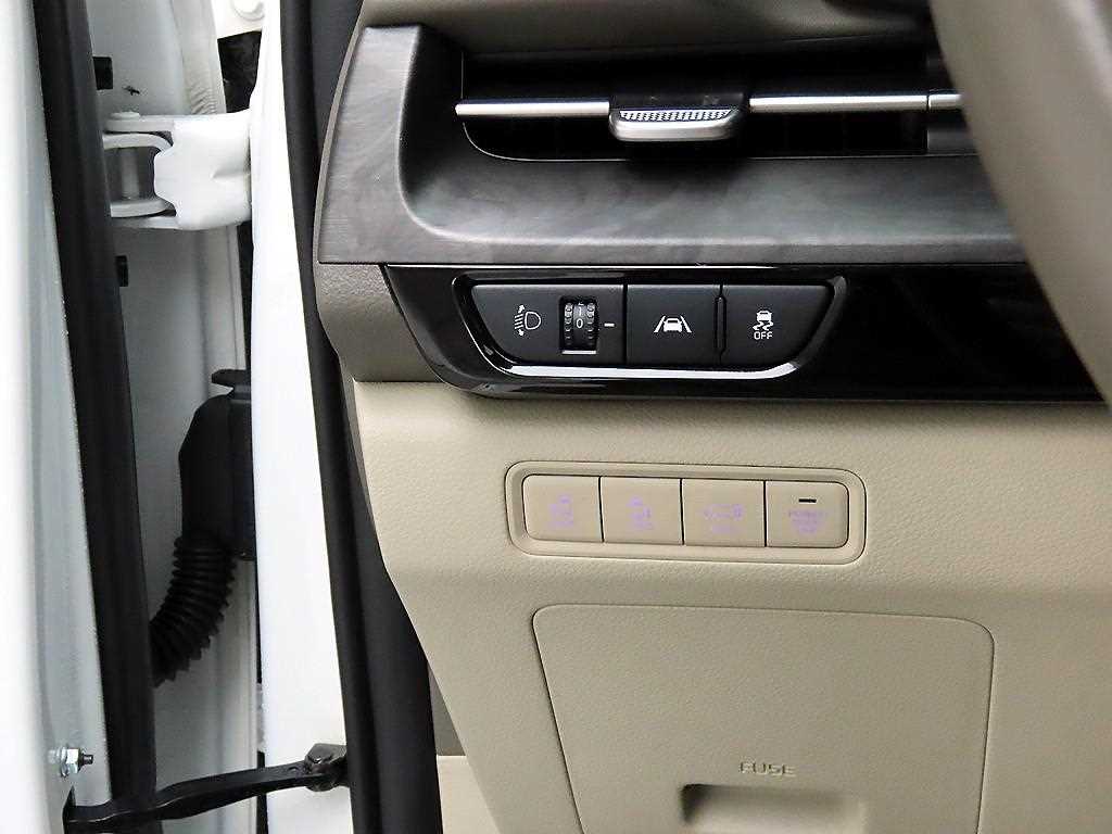 KIA Carnival - Vista 11