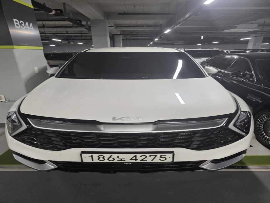 KIA Sportage 2024 Blanco - Importación desde Corea - HF Imports Iquique - Foto 1