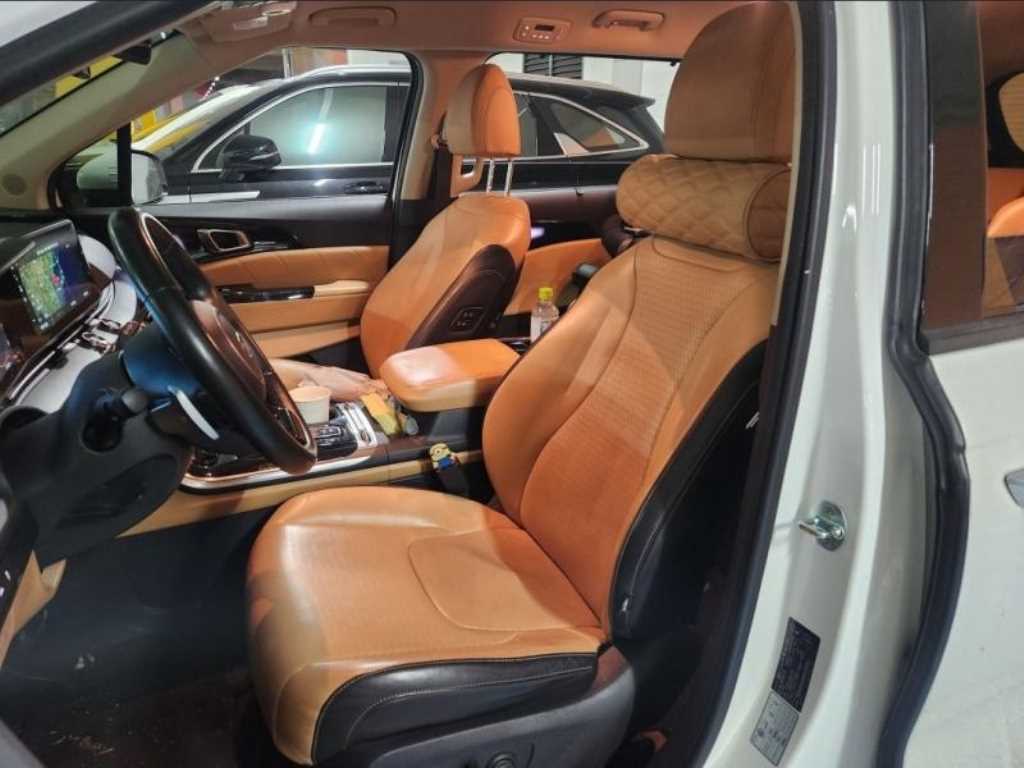 KIA Carnival - Vista 9