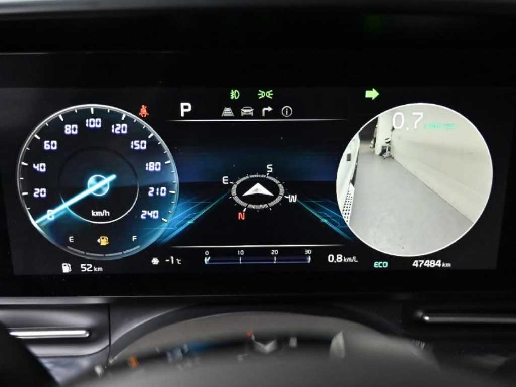 KIA Carnival - Vista 8