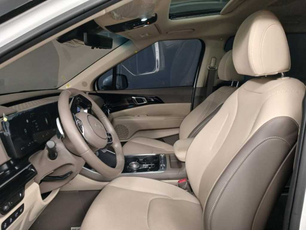 KIA Carnival - Vista 7