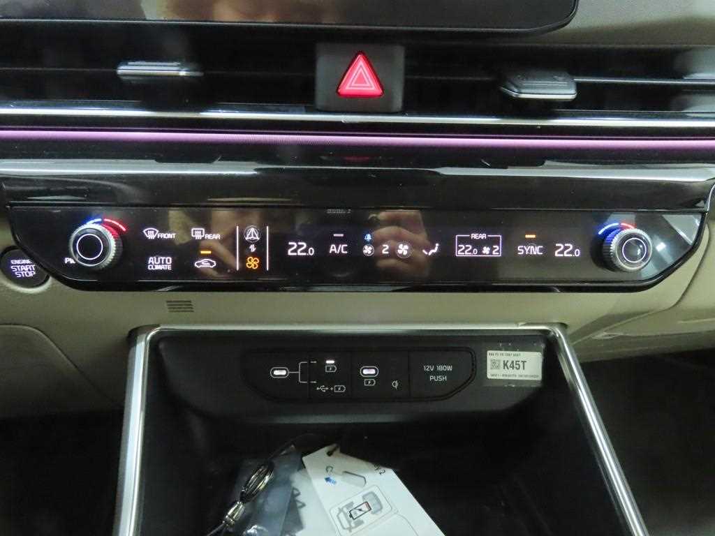 KIA Carnival - Vista 11