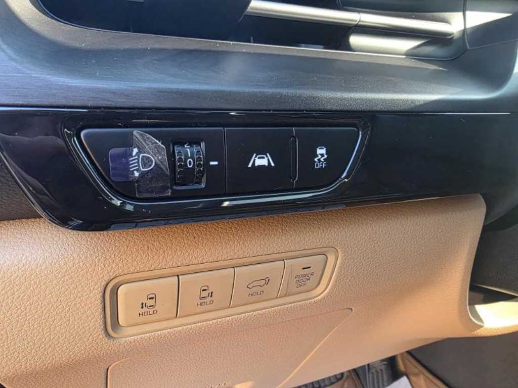 KIA Carnival - Vista 12